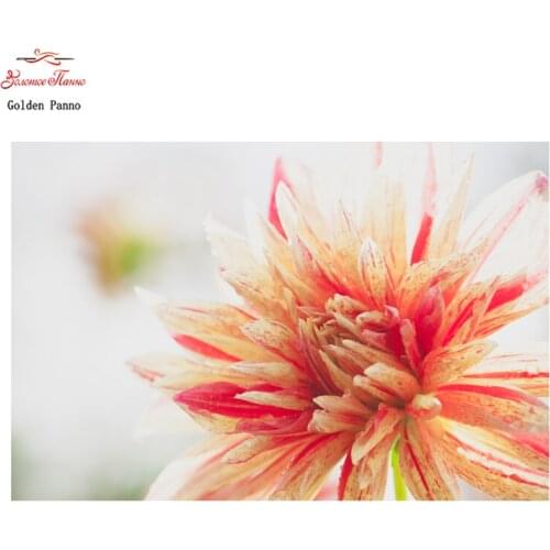 Golden Panno,Needlework,DIY DMC 14CT 11CT printed Cross stitch,Embroidery kits flower white canvas Counted Wall Art household