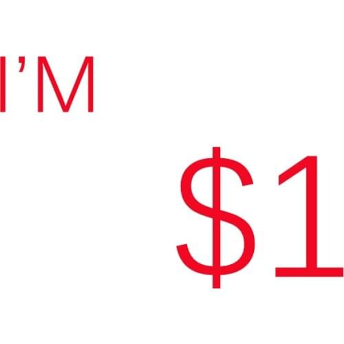 This Link for Additional Pay on Your Order