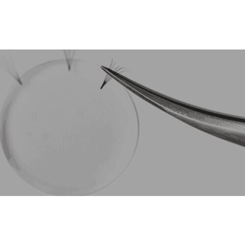 50pcs Professional Make Eyelash Extensions Fan Tools Easy Fan Use Blooming Patch Volume Drop Dot s By Free Shipping