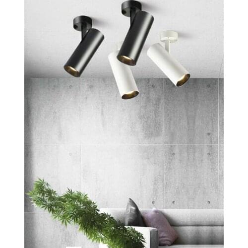 LED downlight 15W 20W 30W Foldable dimmable Recessed rotatable built in COB Spot light Surface mount Downlight AC110V 220V