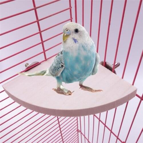 New Pet Bird Parrot Wooden Platform Bracket Rack Toy Hamster Fan Branch Perched For Bird Cage Toy 3 Size Pet Supplies