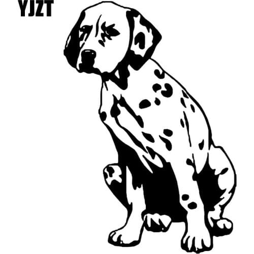YJZT 8.8CM*13CM DALMATION DOG Vinyl Car Sticker Decals Black/Silver C10-00342