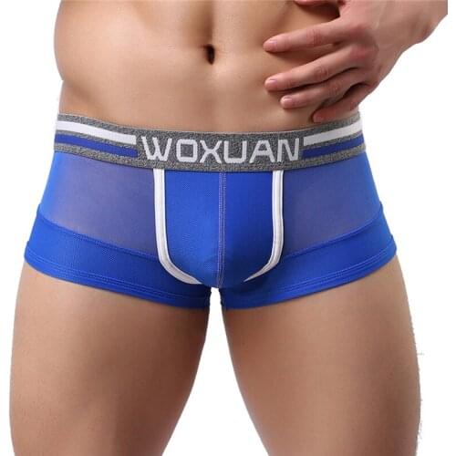 Sexy Men Mesh Boxers Low Rise Penis Pouch Nylon Fishnet Mens Boxer See Through Underwear Male Perspective Underwear