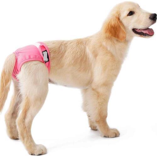 3pcs/set Female Dog Puppy Diapers Reusable Breathable Pet Dog Physiological Menstrual Hygiene Sanitary Pet Underwear For Girl