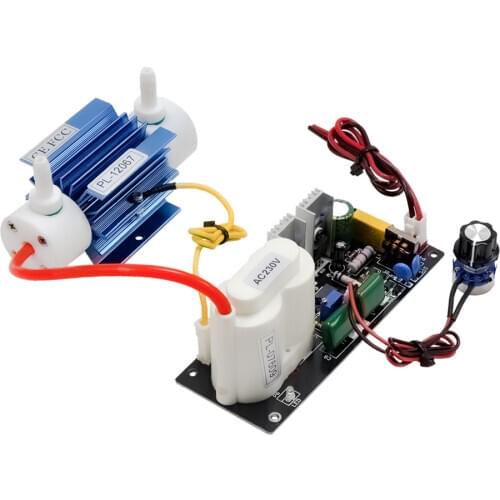 CE FCC ROHS Pinus longaeva 1G/H 1gram adjustable ozone generator Kit commercial ozonators for air and water 50HZ/60HZ