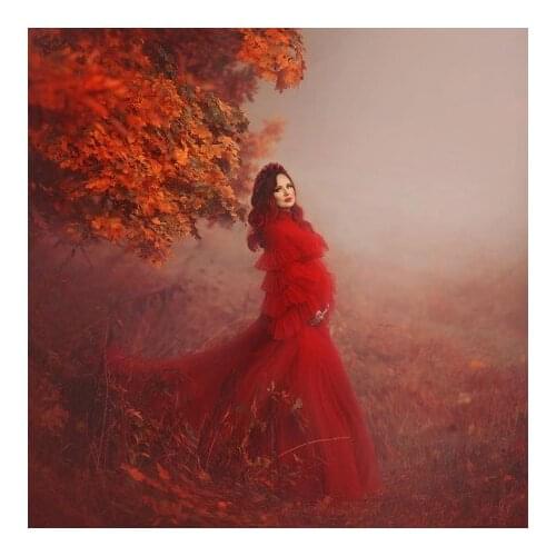 Charming Red Tulle Robes Long Sleeves Ruffles Pleated Long With Train Custom Made High Neck Photo Shoot Dresses