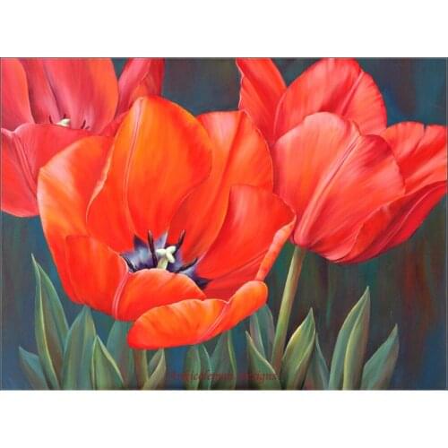 Embroidery Counted Cross Stitch Kits Needlework - Crafts 14 ct DMC color DIY Arts Handmade Decor - Red Tulips