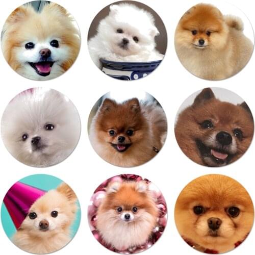 Pomeranian dogs dog Badge Brooch Pin Accessories For Clothes Backpack Decoration gift 58mm