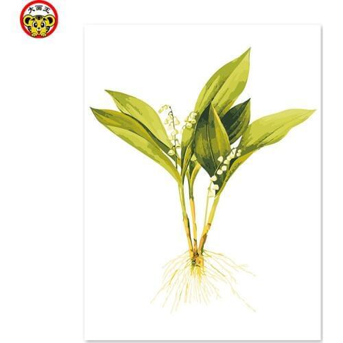 Painting by numbers art paint by number Green plant hand-decorated digital painting flower grass simple practice hand painting l