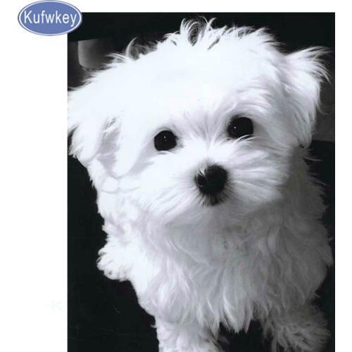 Diamond Mosaic wihte Maltese Diamond Embroidery Cross Stitch diy Diamond Painting square drill picture of rhinestone home decor