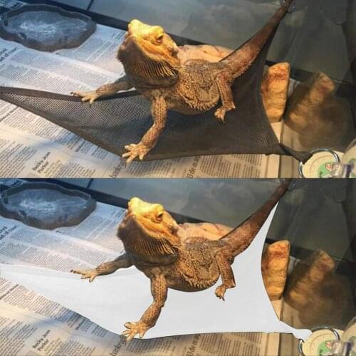 2pcs Lizard Hammock Reptile Hammock Lizards Lounger Swing Oxford Fabric Breathable Net Lizard Climb Bed With Suction Cup