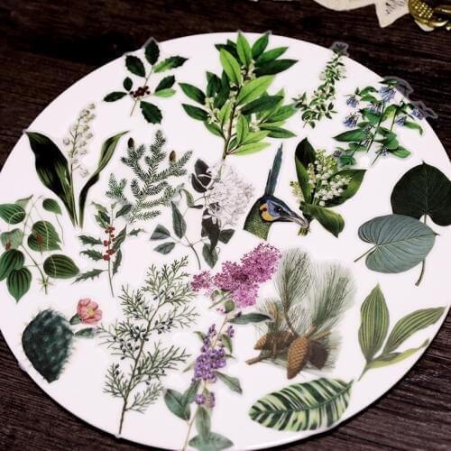 50pcs big size Flower plants Page Vintage Stickers for Scrapbooking Happy Planner/Card Making/Journaling Project
