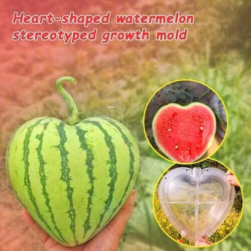 Heart Shape Nursery Pot Watermelon Growing Mold Garden Plant Fruit Growth Tray Fruit Growing Forming Mould Garden Supplies