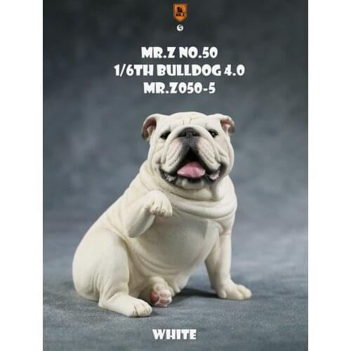 1/6 Scale Mr.Z050 Resin Miniature Animal Model English Bulldog Model Toy fit 12" Action Figure Toy Accessories Home Decoration