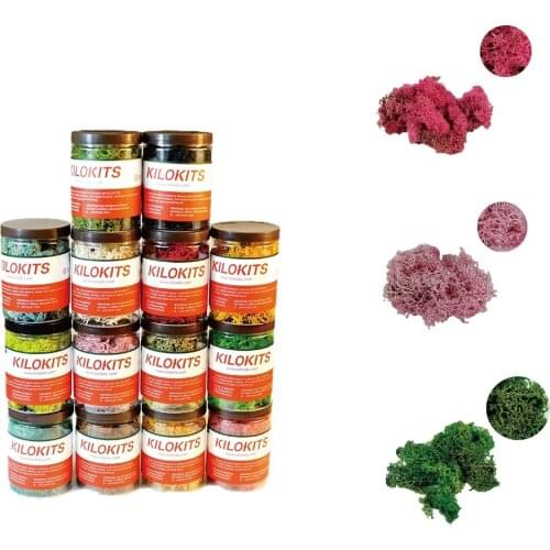 60g MultiColor Lichen for Military Model Dioramas Railway Layout Miniature Material 1/35 1/72 1/87 1/48 1/160 HO N O O