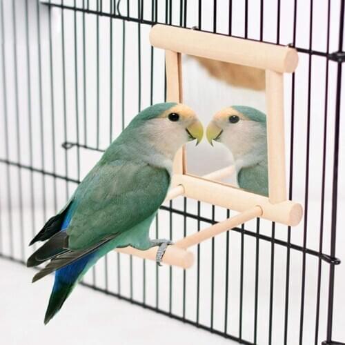2Pcs Home Parrots Bird Perch Standing Pole with Swaying Bird Mirror for Bird Accessories