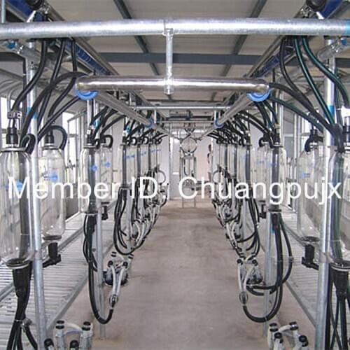 Full-Automatic Glass Milk Meter Herringbone Milking Porlor for Goat/Sheep