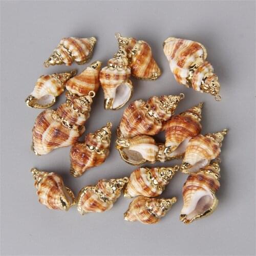 10pcs/Lot Gold Color Metal Natural Shell Pendant Conch Shell Charms Random For DIY Jewelry Necklaces Making Accessorie Wholesale