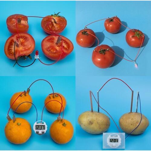 Bio Energy Science Kit Potato Fruit Supply Electricity Experiments Kids Children Student Learining Science Educational Toy
