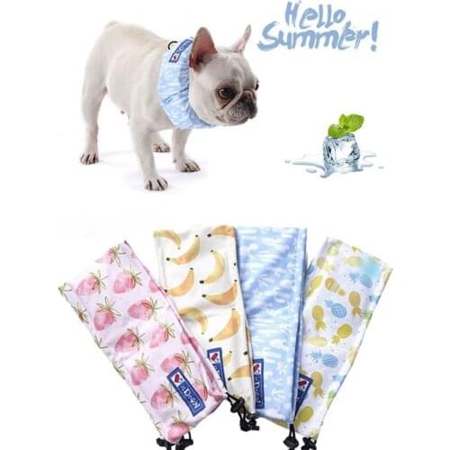 PetMundo Collars