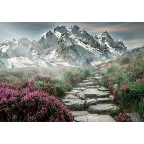 Snow Mountain Canvas Wall Art Painting # Poster Art Print Wall Decoration Home Decor Picture