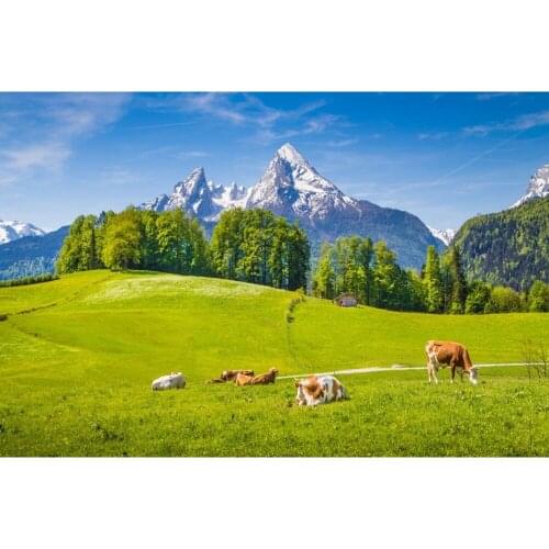 Spring Mountain Grassland Cattle Tree Nature Scenery Baby Backdrop Vinyl Photography Background For Photo Studio Photophone Prop