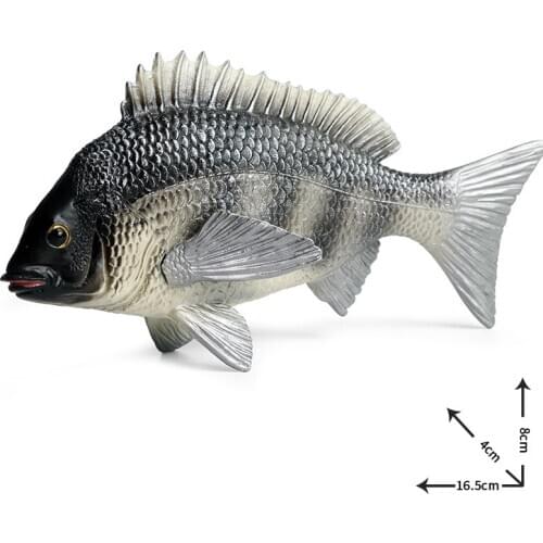 Gray Tilapia Mossambica Animal Figure Collectible Toys Fish Animal Cognition Action Figures Simulation Animal Toys