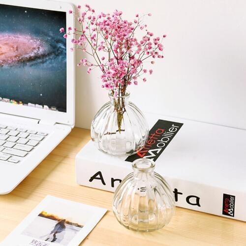 1pc Creative Glass Vase Simple Transparent Table Flowers Holder Living Room Decoration