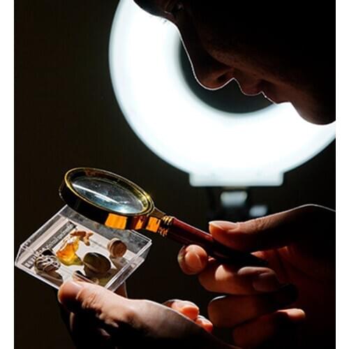 6pcs Natural Mineral Rocks Science Stones Collection Supplies Gift for Kids Boys Girls