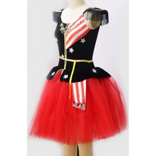 New ballet dress girls dance wear dance dress tutu skirts tulle Dance wear