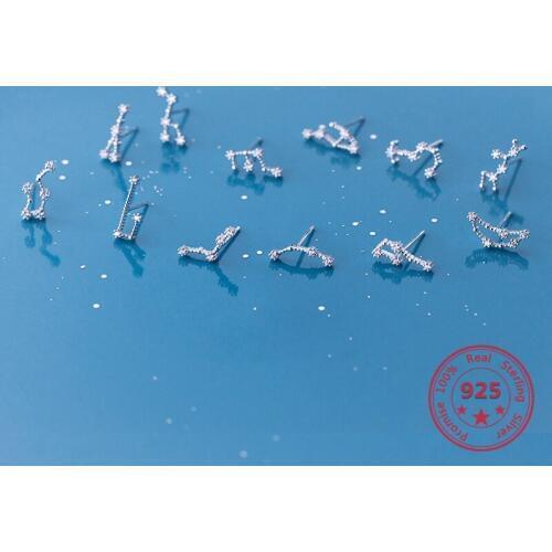 Korean Version Fashion 925 Sterling Silver Twelve Constellations Zircon Womens Stud Earrings Simple Jewelry Holiday Gift