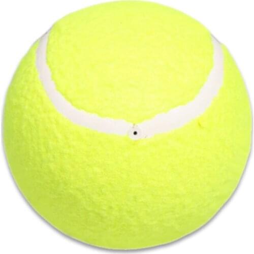 Regal 5 inch tennis ball small inflatable tennis ball pet tennis toy ball star signature tennis