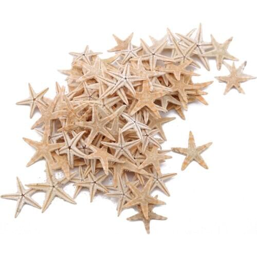 100Pcs Natural Starfish Seashell Beach Craft Natural Sea Stars DIY Beach Wedding Decoration Crafts Home Decor Epoxy 1-3cm