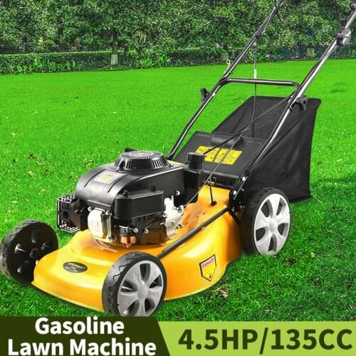 AULAYSED Lawn Mower Engines