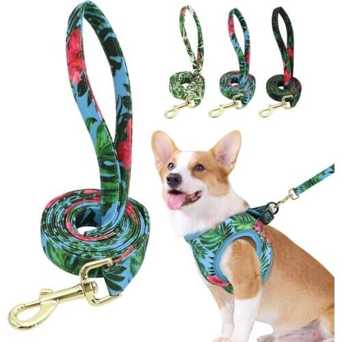 Printed Nylon Dog Leash Durable Pet Puppy Cat Walking Leashes Lead For Small Medium Dogs Cats Chihuahua Yorkshire Rope Belt