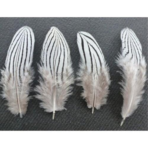 Free shipping wholesale 20pcs nature silver chicken feather 5-10cm/2-4inch Decorative diy collect
