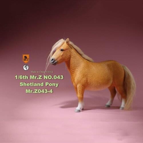 Mr.Z 043 Horse 1/6 Scale Shetland Pony simulation PVC horse model Kids adult Gifts home decoration 12"Action Figure Fitting Show