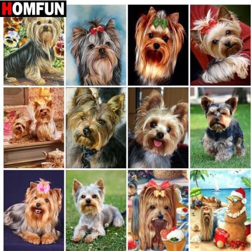 HOMFUN Rhinestone Painting Crystal Decor Diy Diamond Painting "Yorkshire Terrier Dog" 3D Cross Stitch Pattern Diamond Embroidery
