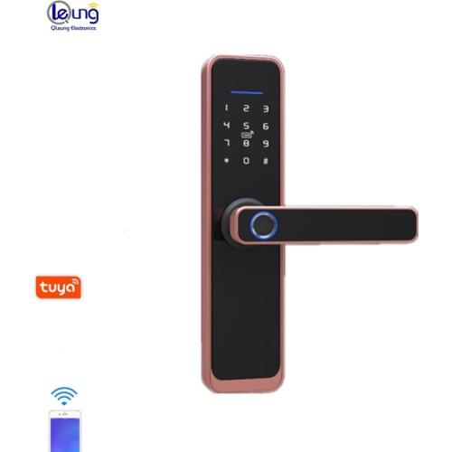 Tuya TT Smart Finger Print Wifi Safe Door Lock Digital Fingerprint Password Card Lock
