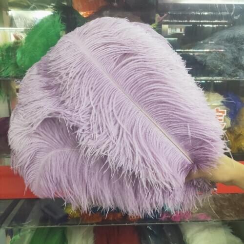 The New 50pcs/lot high quality ostrich feather 40-45cm/16-18inches Accessories For Home carnival Christmas DIY plumas