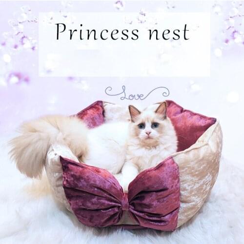 Small Dog Cat Bed Shining Plush Sofa Cute Bow Princess Nest Super Soft Warm Kitten Puppy House Bite Resistant Mat Pet Supplies