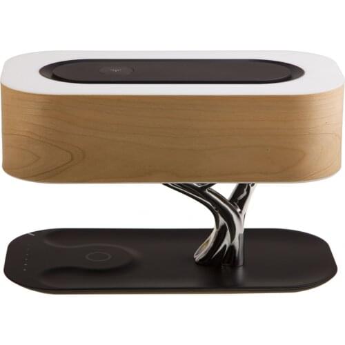 HOMETREE Desk Lamp
