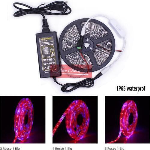 12V-1-5M-LED-Plant-Grow-Light-Flexible-Strip-3-1-4-1-5-1-Red-Blue-Power-Switch 1m set-5m set