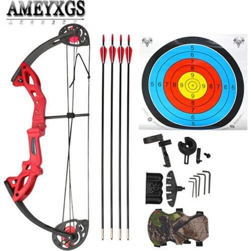 1set Youth Compound Bow Set 15-29lbs Draw Weight With Target Paper Hunting Shooting Training Beginner Archery Sports Pulley Bow