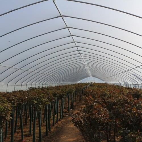 Very strong frame and film for agricultural vegetable greenhouse garden