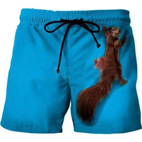 Men Swimsuit 3D Animal Squirrel Boardshorts Beach Shorts For Men Swimming Trunks Short Quick-drying Mens Swim Beach Shorts