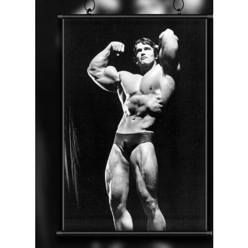 A15 ARNOLD SCHWARZENEGGER Bodybuilding Motivational Gigantic Strong Wall Sticker Silk Poster Art Home Decoration Christmas gift