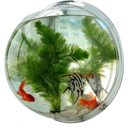 Wall Hanging Acrylic Fish Tanks with Accessories Wall Mount Aquarium Water Tank Flower Pot Plant Vase Mini Aquarium Betta Fish
