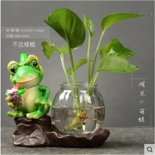 Creative green pineapple water culture plant glass water culture vase flower Frog transparent container purple sand vessel