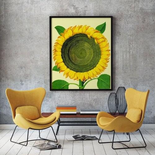 Kitchen Art Decoration Botanical Wall Art Canvas Poster Prints Sun Flower Vintage Painting Picture Herbarium Home Wall Decor